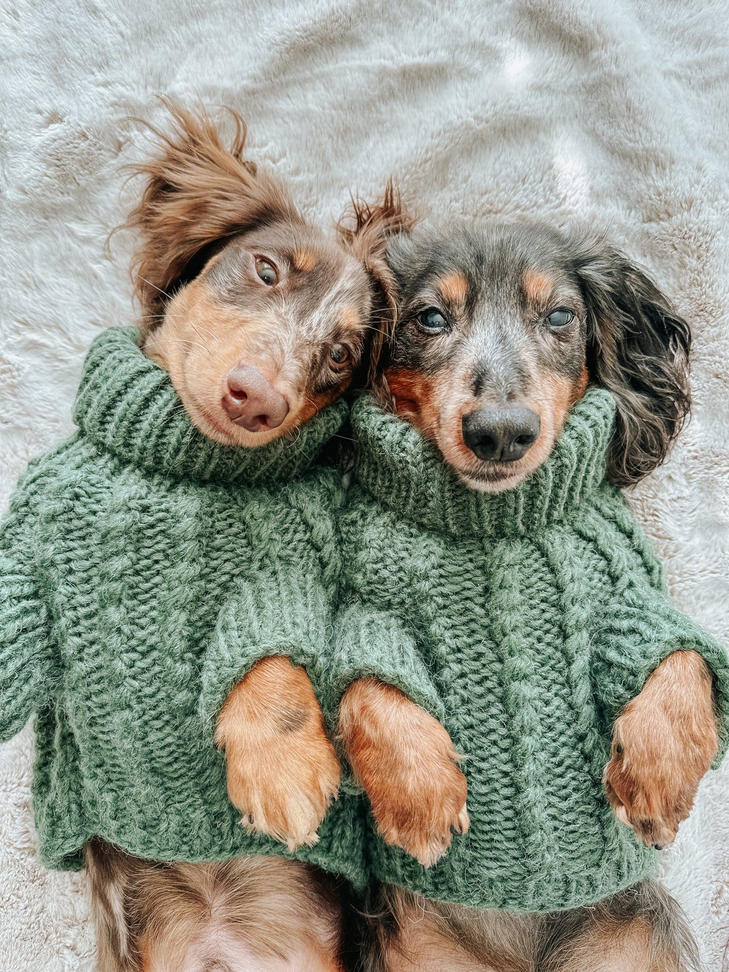 Pet Cable Knit Sweater - Dark Green