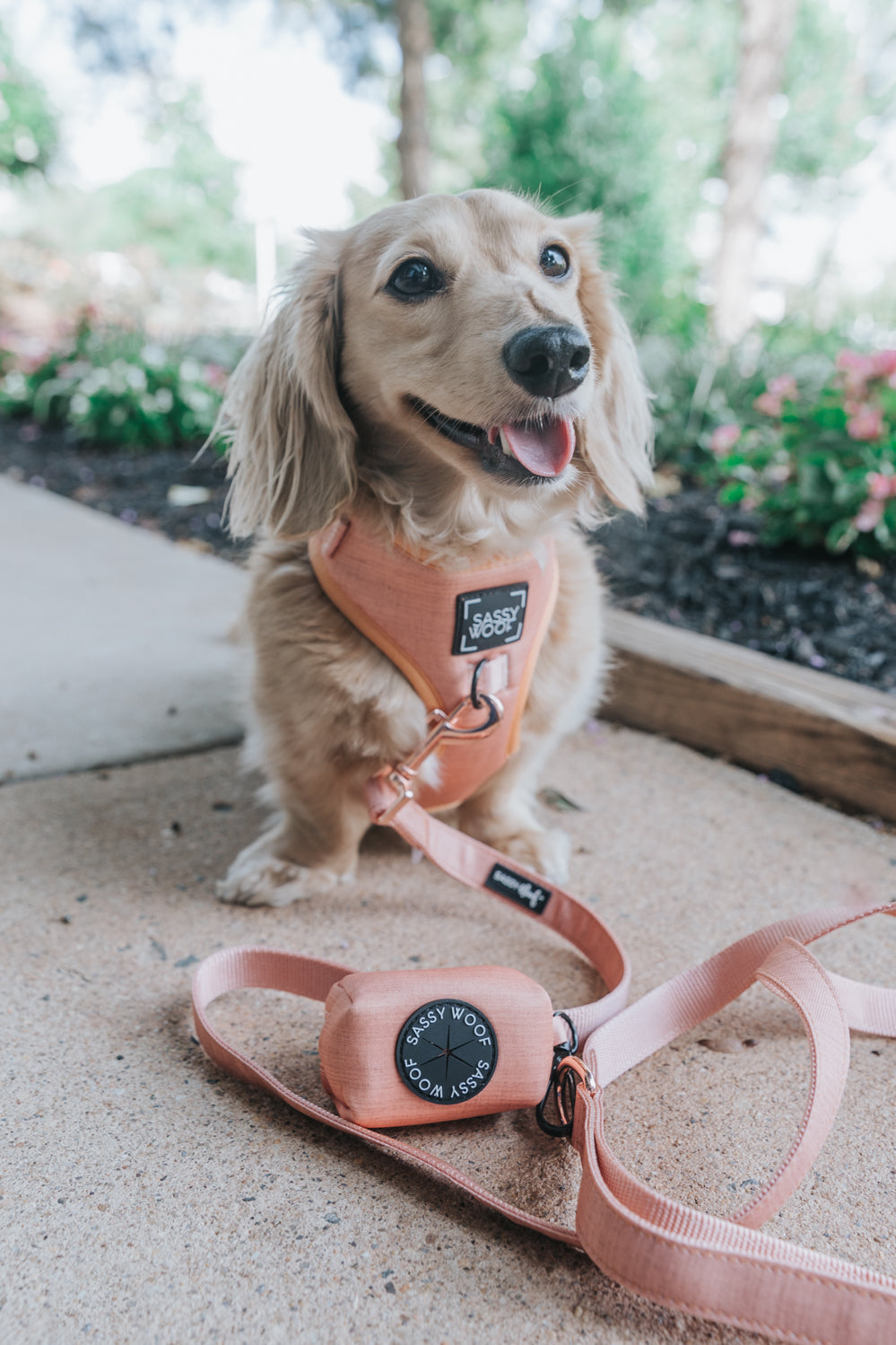 Dog Waste Bag Holder - Apple Cider