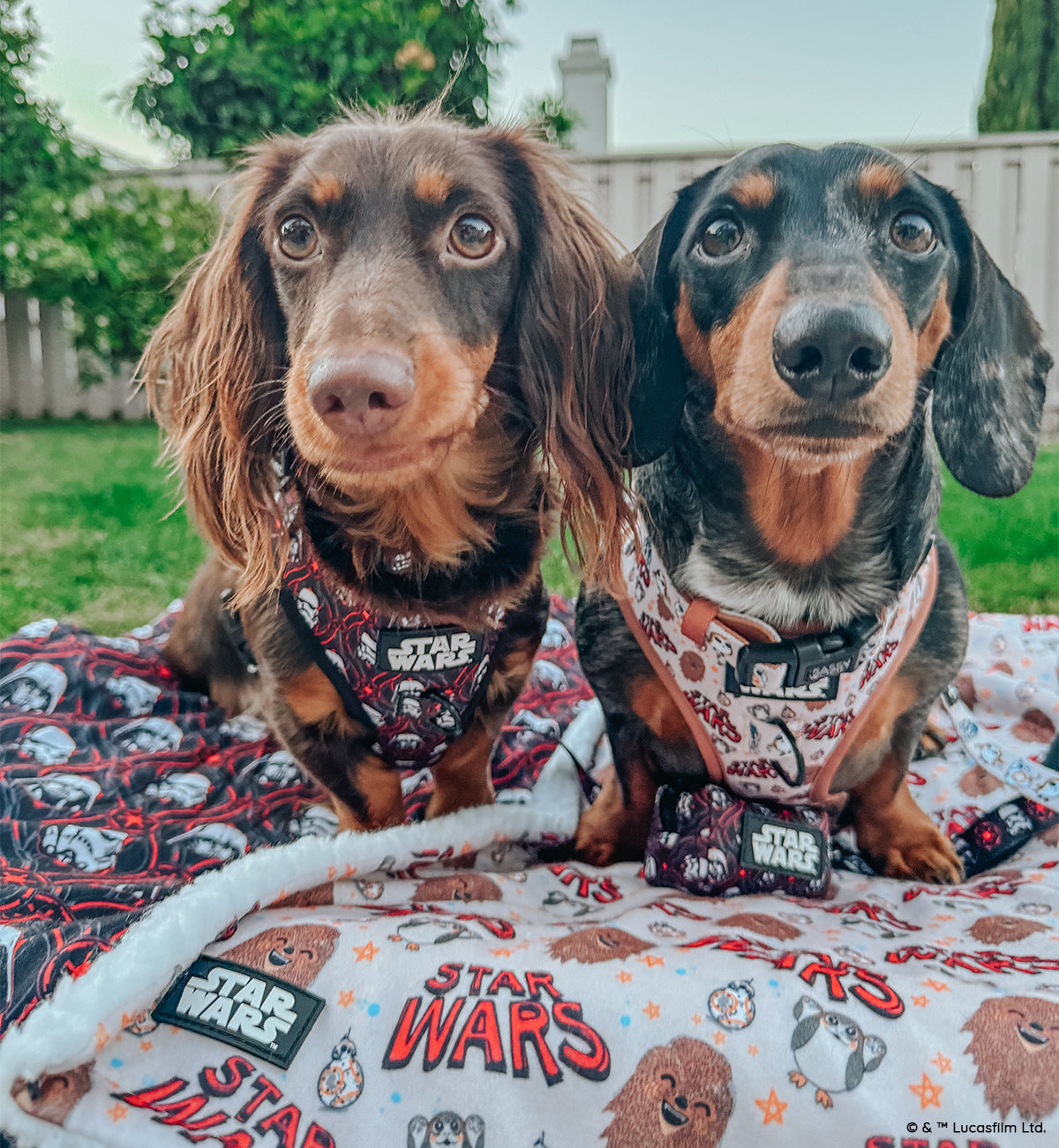 Pet Blanket - STAR WARS™ The Rebel Alliance