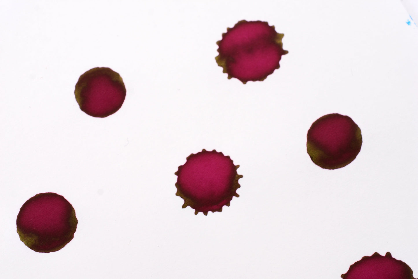 Diamine Fountain Pen Ink - Claret - 30mL