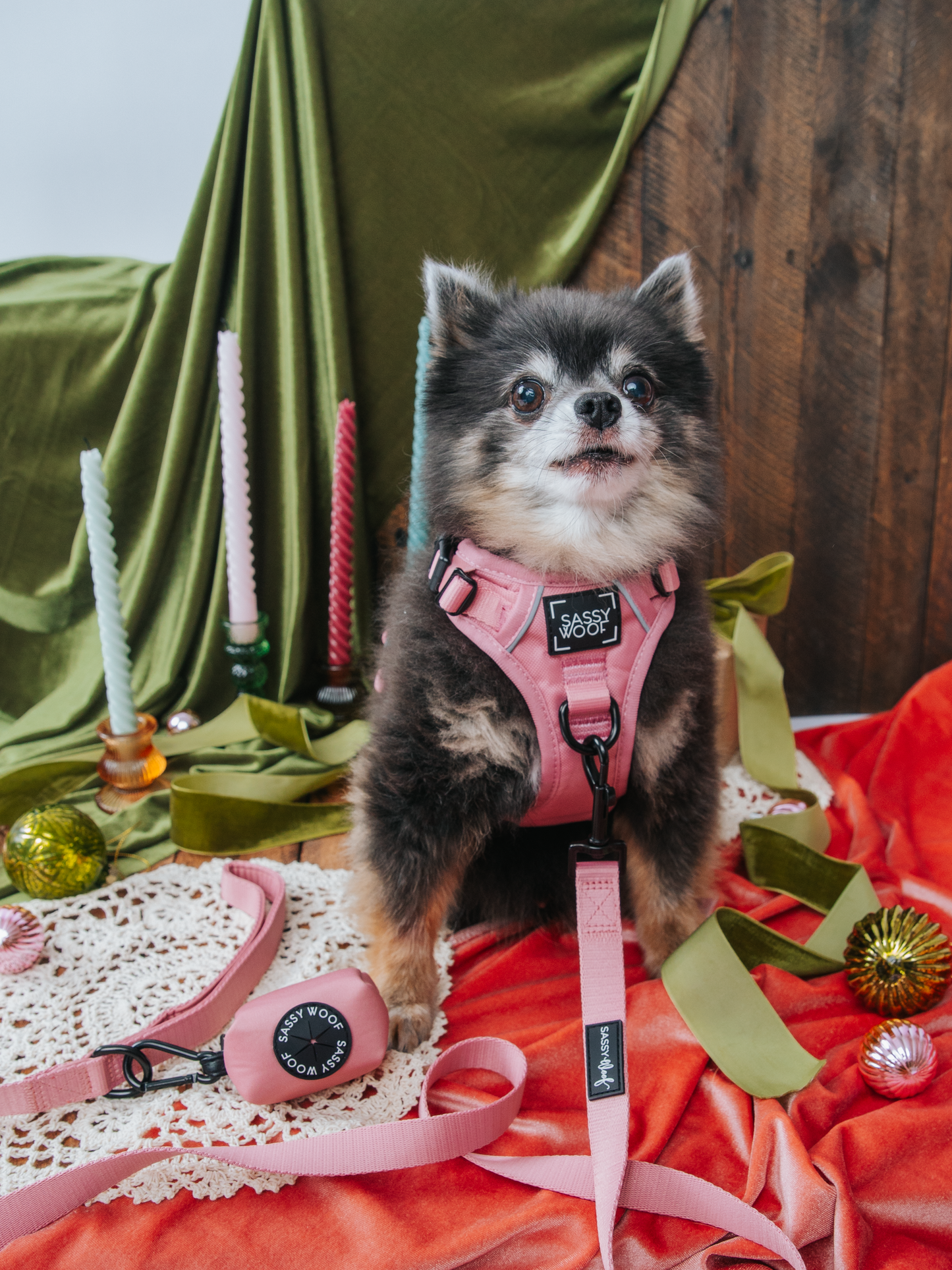 Dog Waste Bag Holder - Dusty Rose
