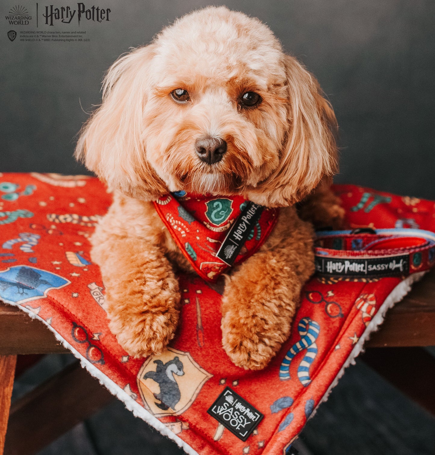 Dog Bandana - Harry Potter™