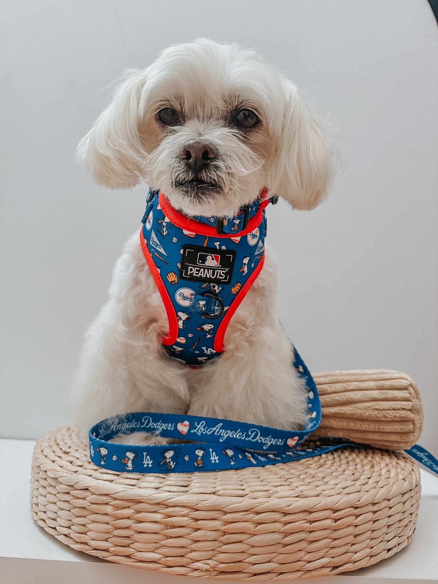 Dog Two Piece Bundle - MLB™ x Peanuts™ Los Angeles Dodgers™