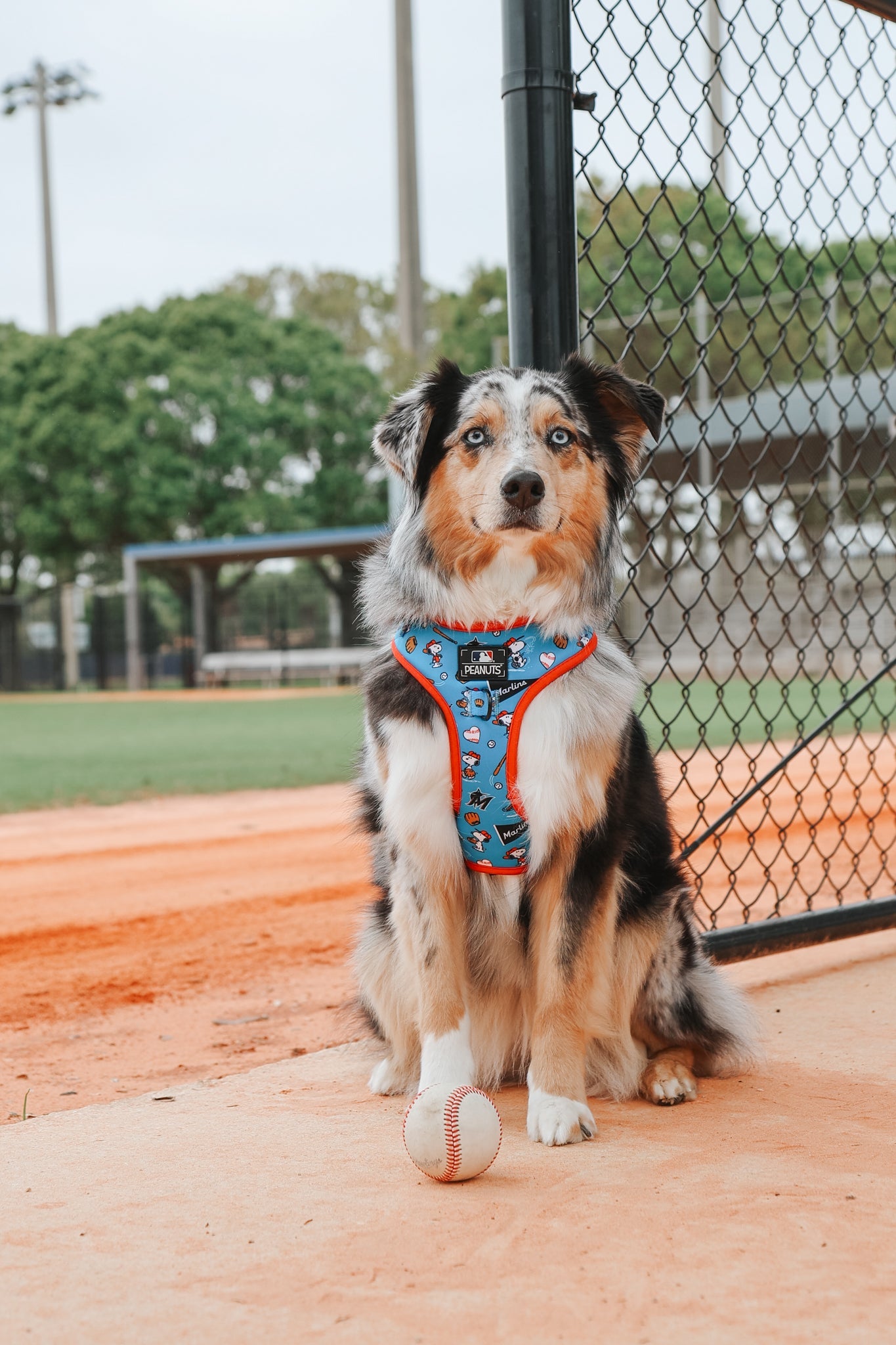 Harness Three Piece Bundle - MLB™ x Peanuts™ Miami Marlins™