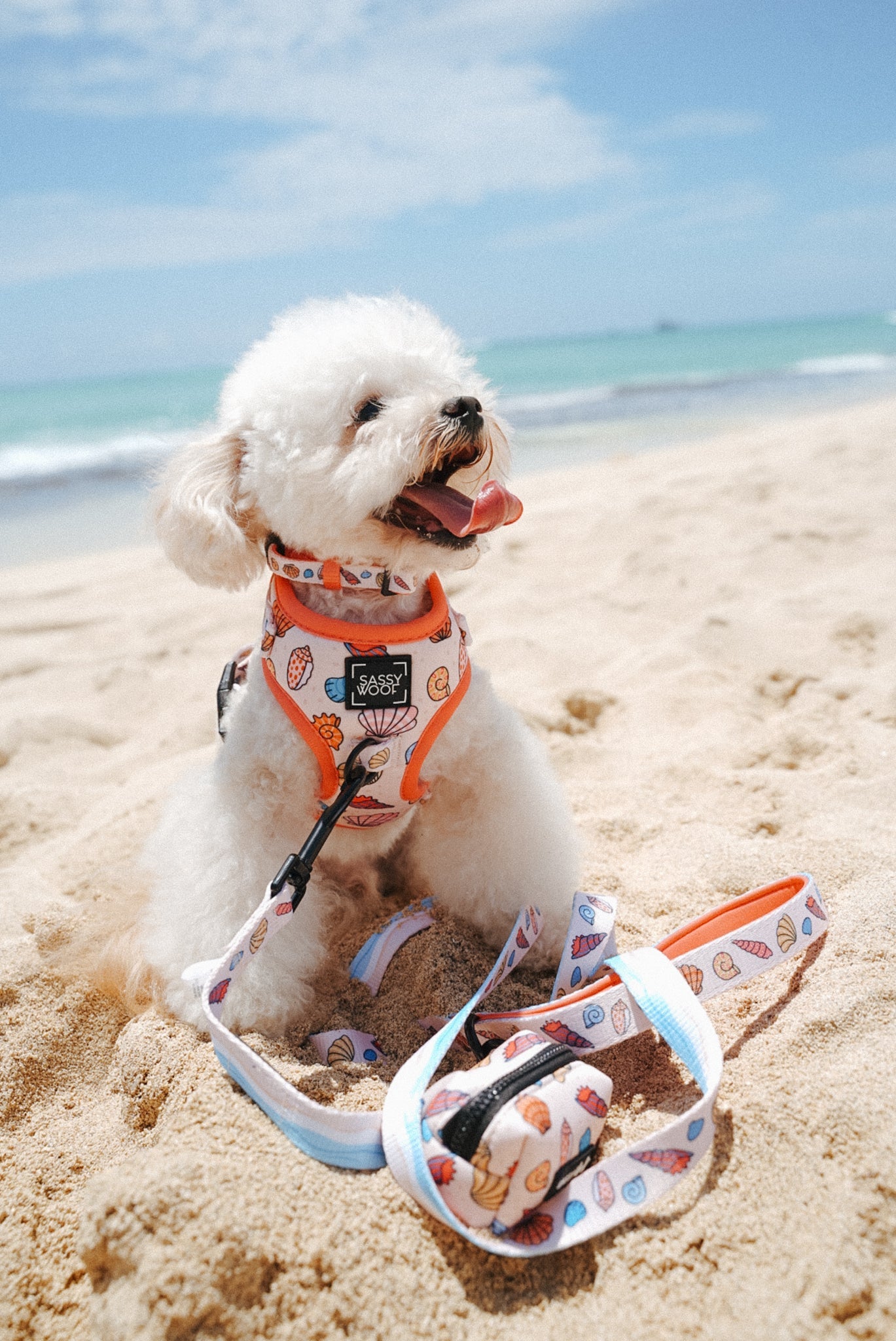 Dog Leash - Shell Yeah