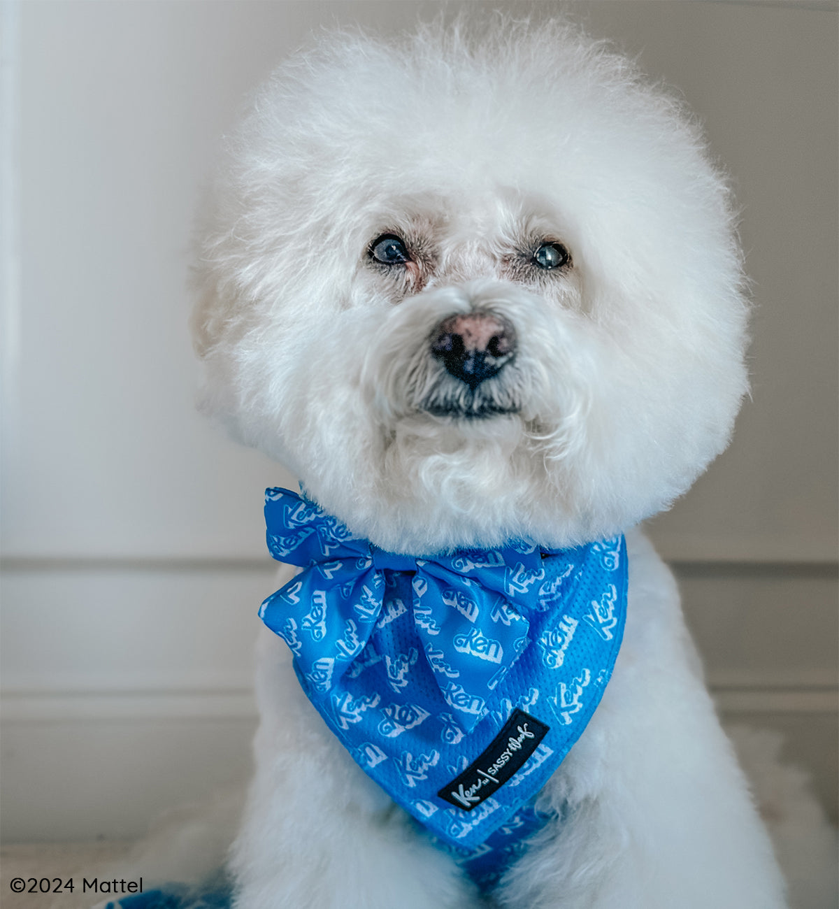 Dog Bandana - KEN™