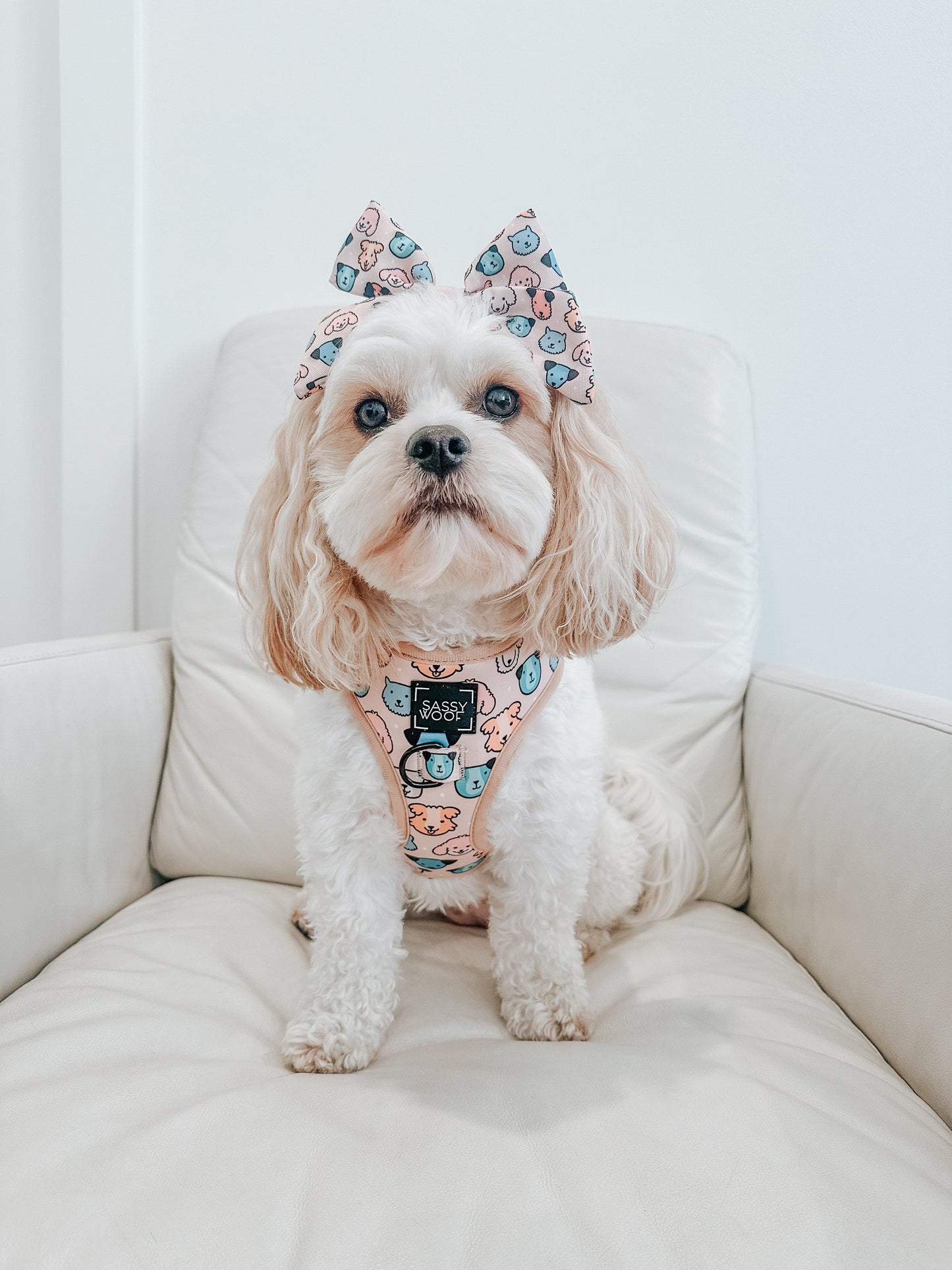 Dog Sailor Bow - Mixed With Love