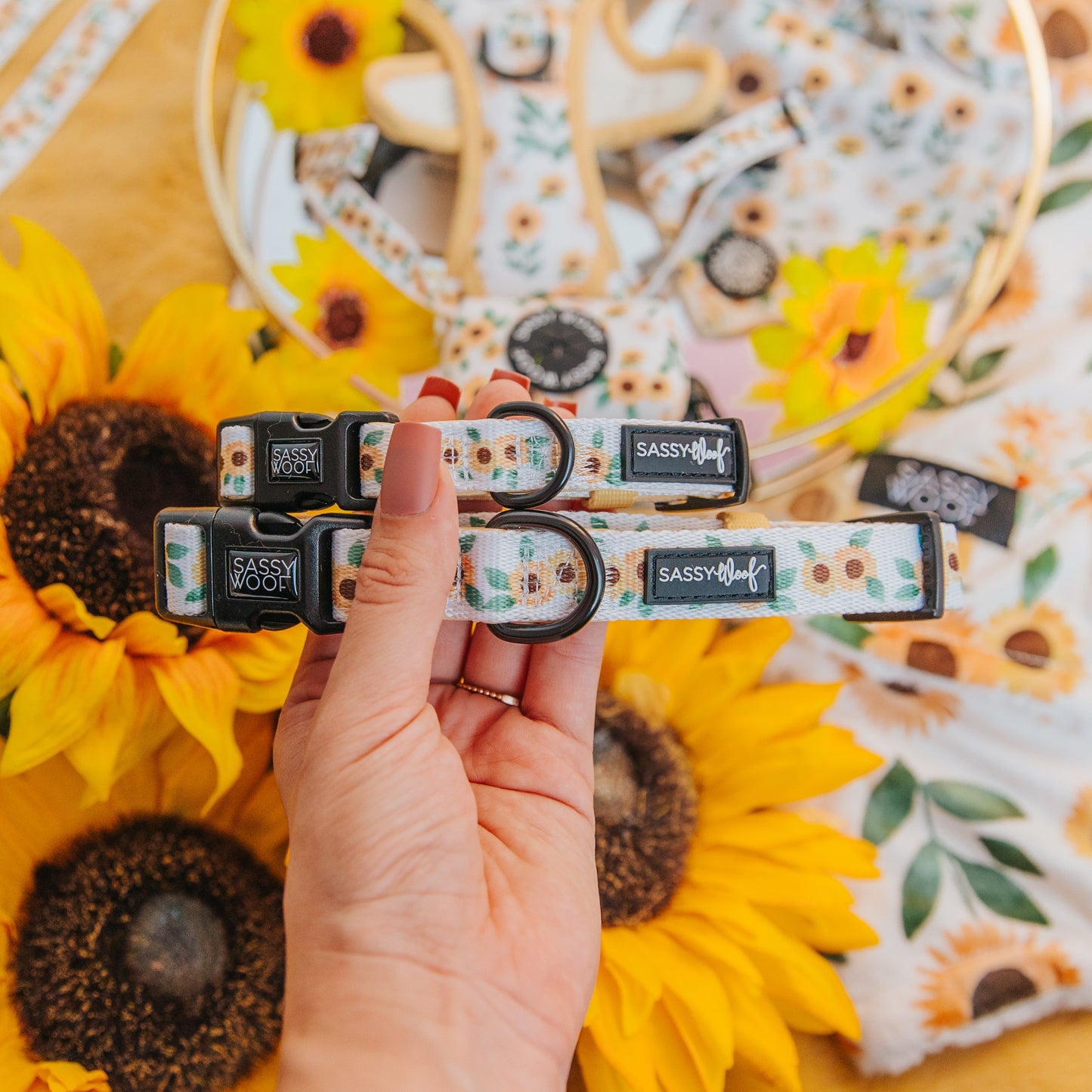 Dog Collar Three Piece Bundle - Sunflower Dreams