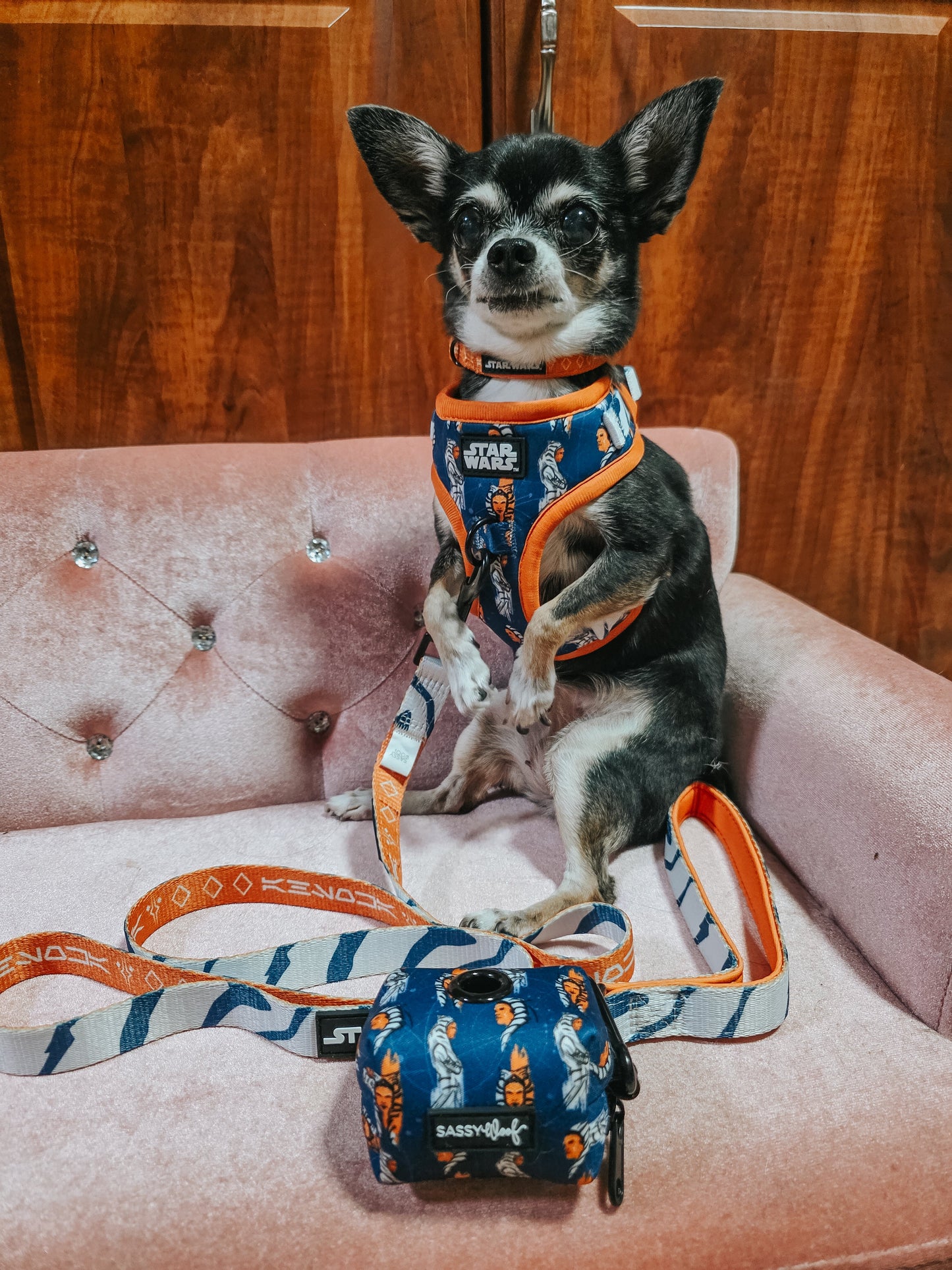 Dog Two Piece Bundle - STAR WARS™ Ahsoka