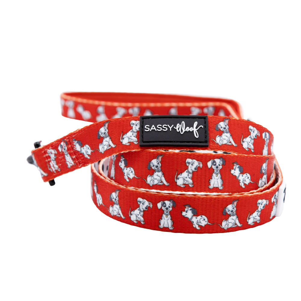 Dog Two Piece Bundle - Disney's 101 Dalmatians