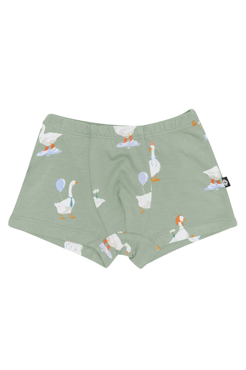 Briefs in Silly Goose