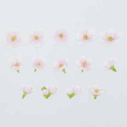 Bande - Cherry Tree