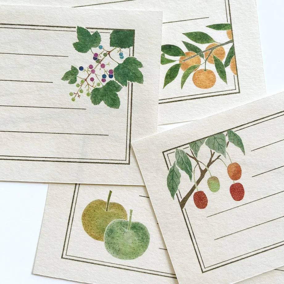 Cozyca - Shikanone - Notepad - Yamato Fruits Book - Horizontal Ruled