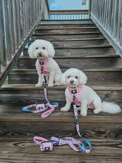 Dog Four Piece Bundle - Gilmore Girls™