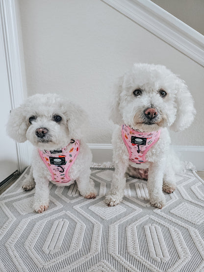 Dog Four Piece Bundle - Gilmore Girls™