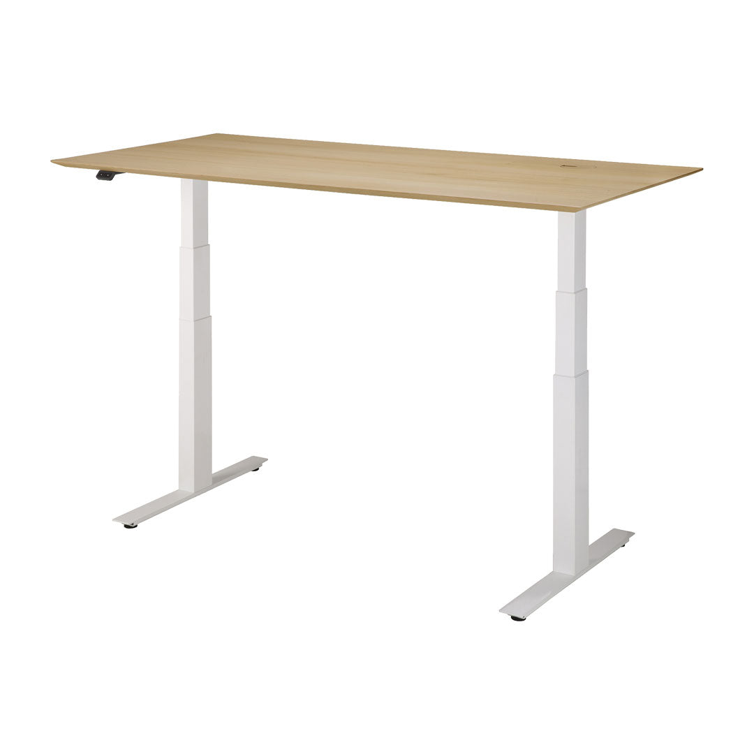 Bok Adjustable Desk