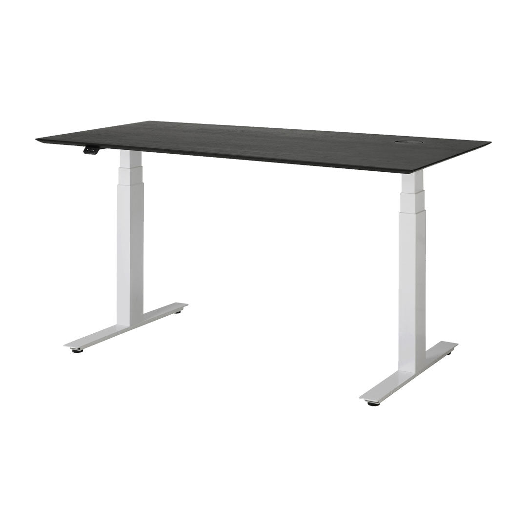 Bok Adjustable Desk