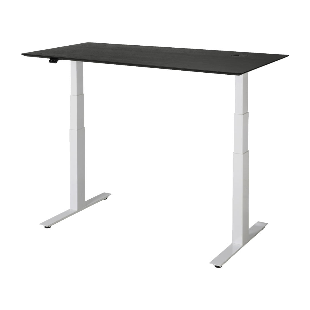 Bok Adjustable Desk