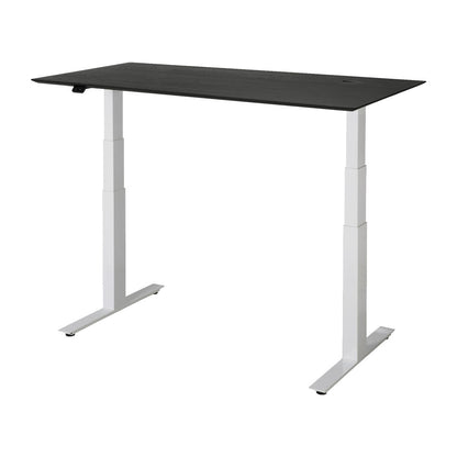Bok Adjustable Desk