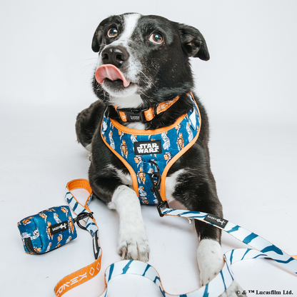 Dog Collar - STAR WARS™ Ahsoka