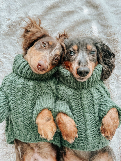 Pet Cable Knit Sweater - Dark Green