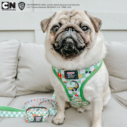 Dog Four Piece Bundle - The Powerpuff Girls™ (Green)