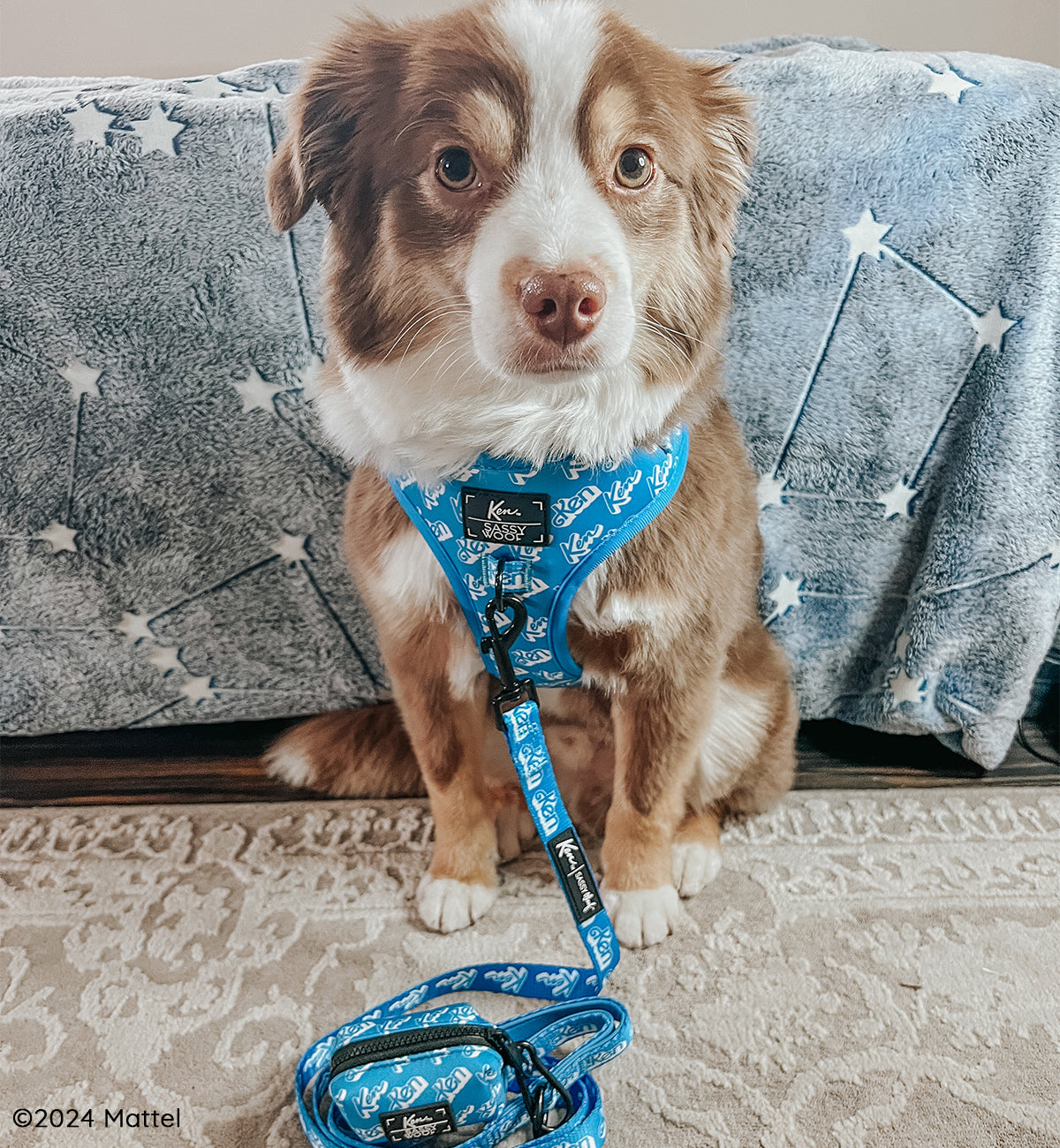 Dog Four Piece Bundle - KEN™