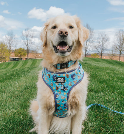 Dog Adjustable Harness - STAR WARS™ The Mandalorian™