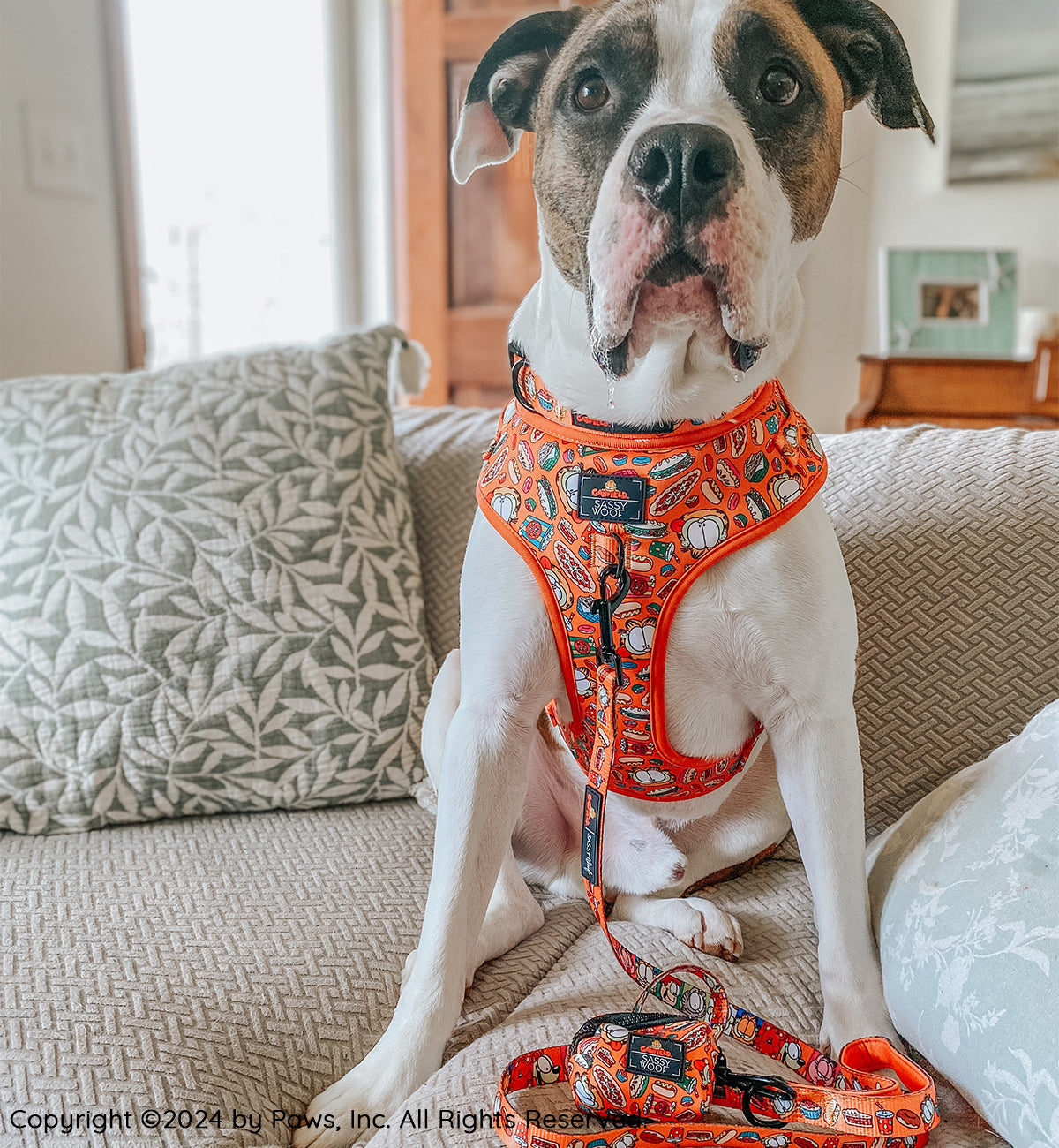 Dog Two Piece Bundle -  Garfield™