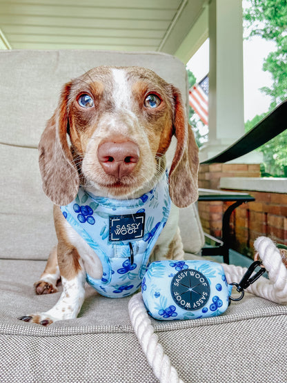 Dog Adjustable Harness - Berry Sassy