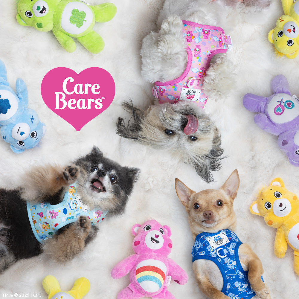 Dog Two Piece Bundle - Care Bears™ Grumpy Bear