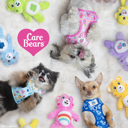 Dog Four Piece Bundle - Care Bears™ Cheer Bear
