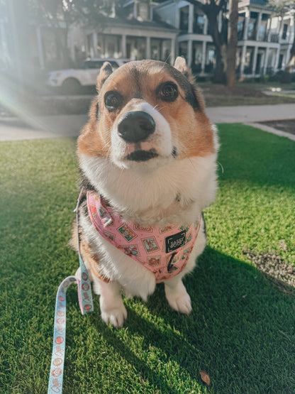 Dog Two Piece Bundle - Out of Office