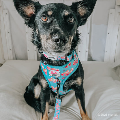 Dog Two Piece Bundle - BARBIE™ On a Roll