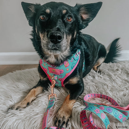 Dog Leash - Polly Pocket™