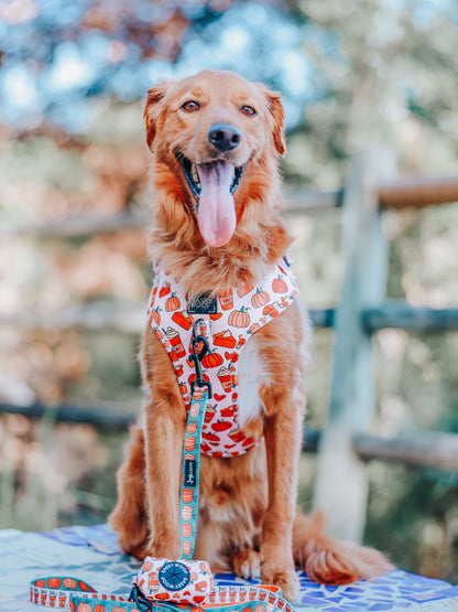 Dog Two Piece Bundle -  Pie There
