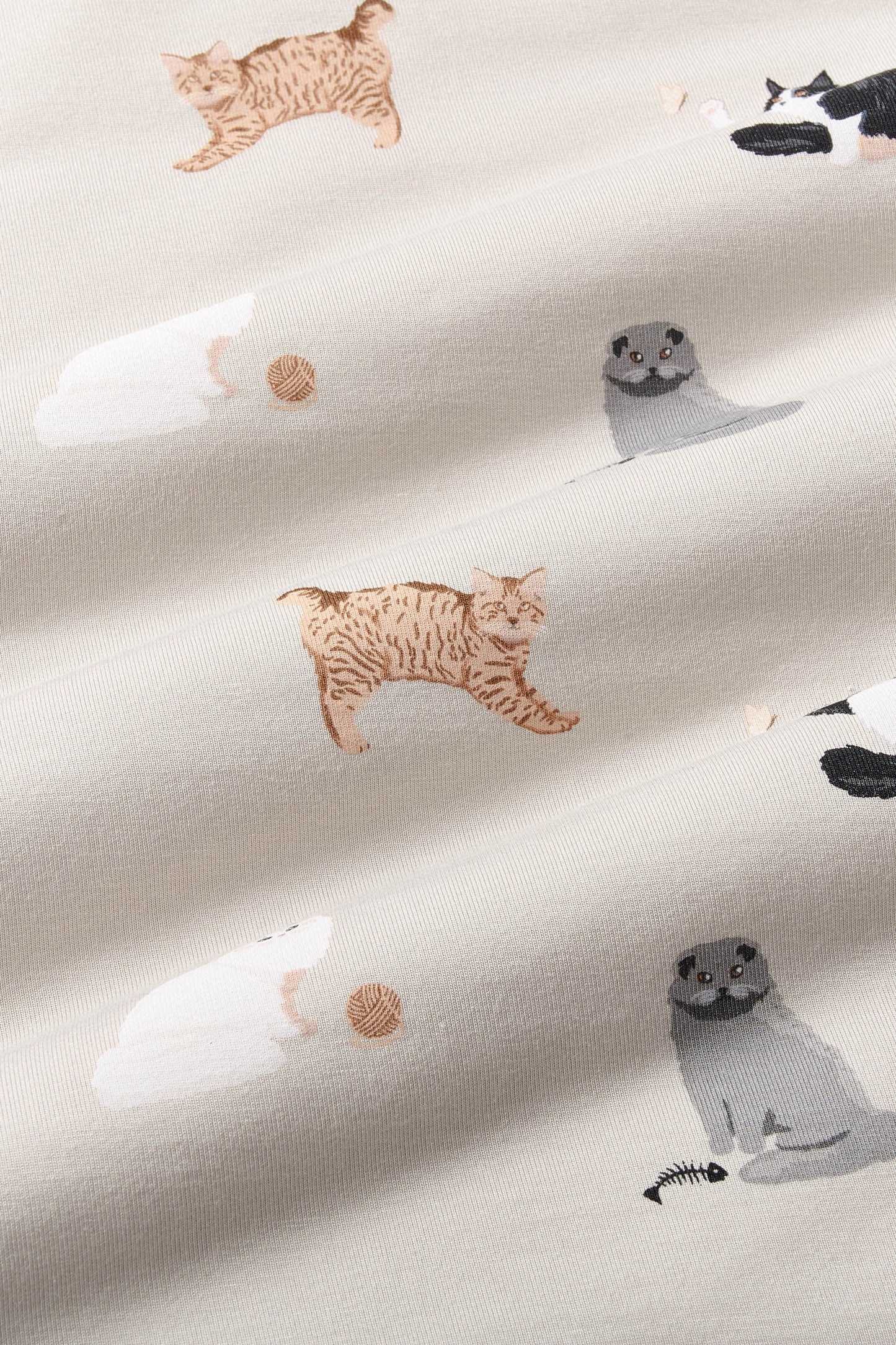 Toddler Basic Tee in Fluffy Cat