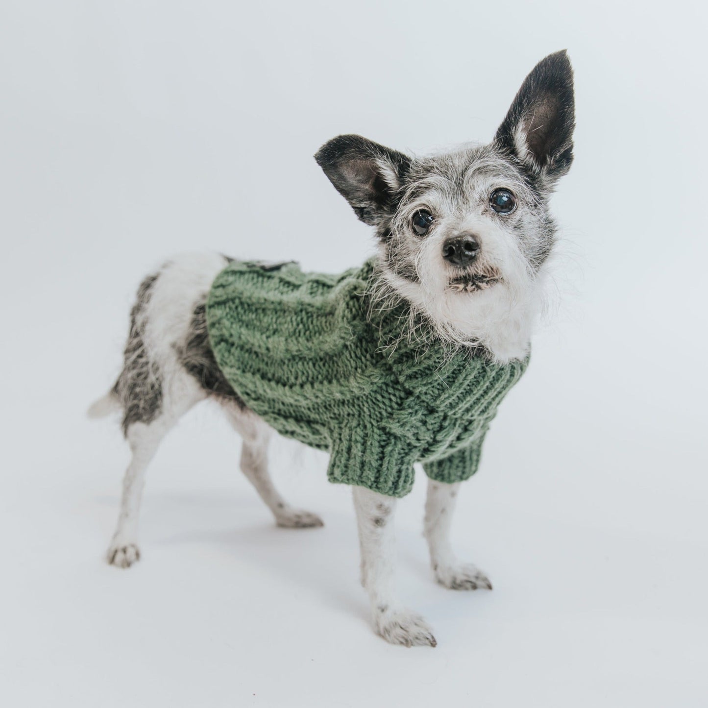 Pet Cable Knit Sweater - Dark Green