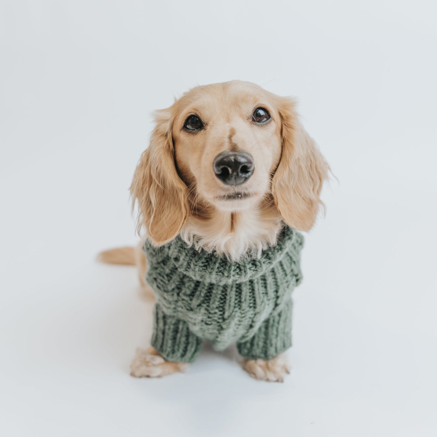 Pet Cable Knit Sweater - Dark Green