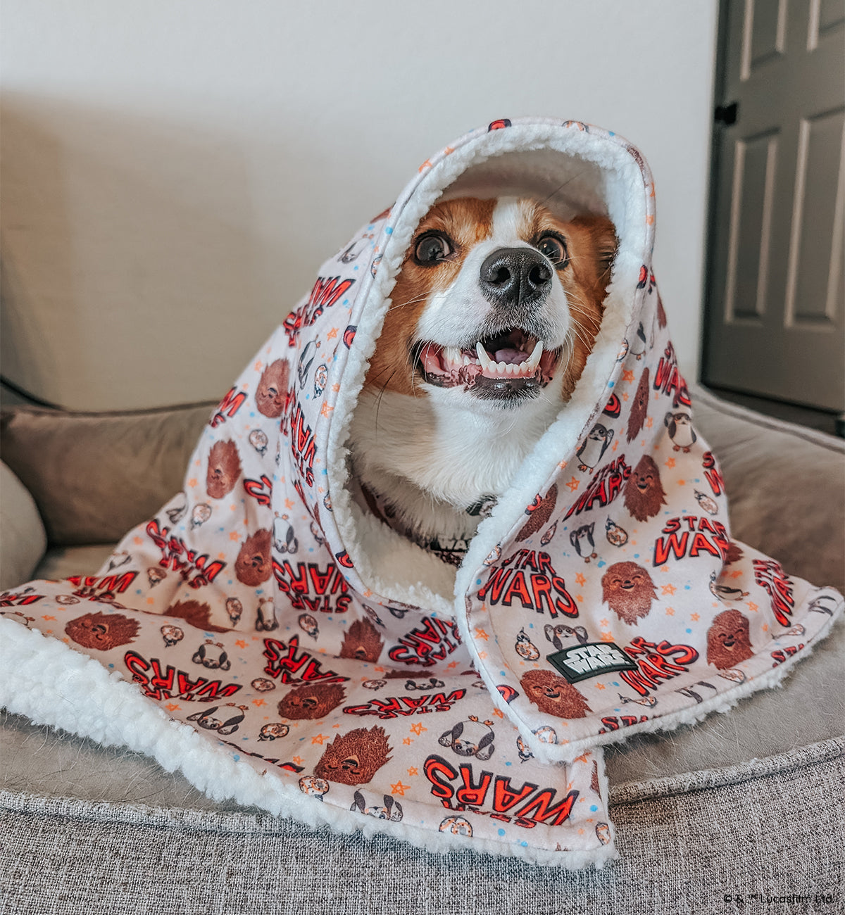 Pet Blanket - STAR WARS™ The Rebel Alliance