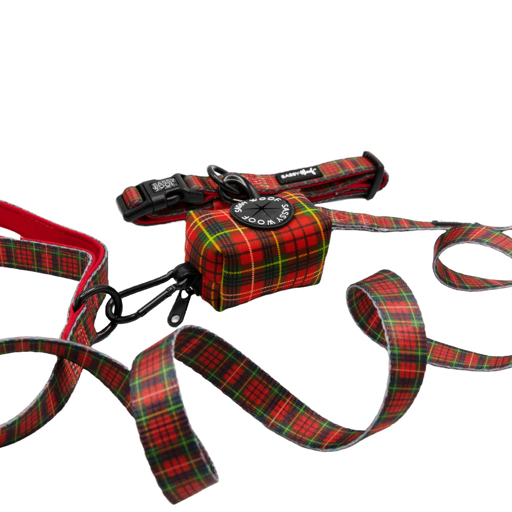 Dog Collar Three Piece Bundle - Deck the Paws
