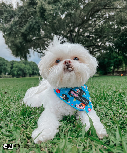 Dog Bandana - The Powerpuff Girls™ (Blue)