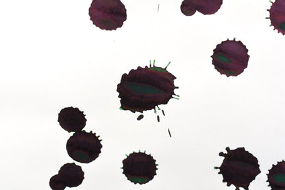 Diamine Fountain Pen Ink - Sherwood Green - 30mL