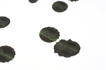 Diamine Fountain Pen Ink - Rustic Brown - 30mL