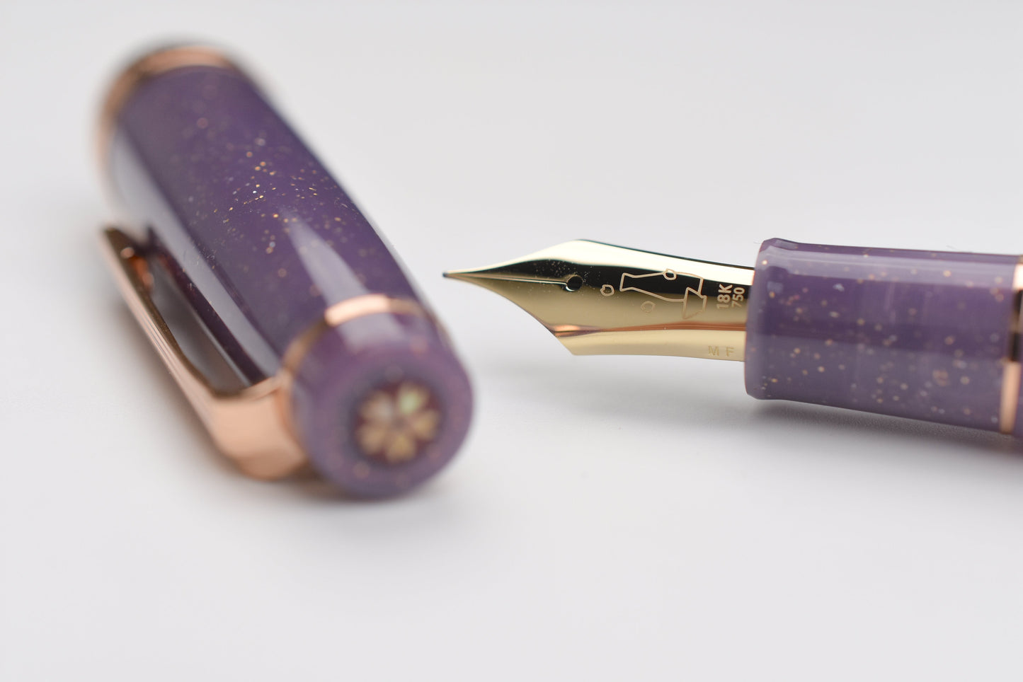 BUNGUBOX Original Large Fountain Pen - Piston - Tipsy Mood