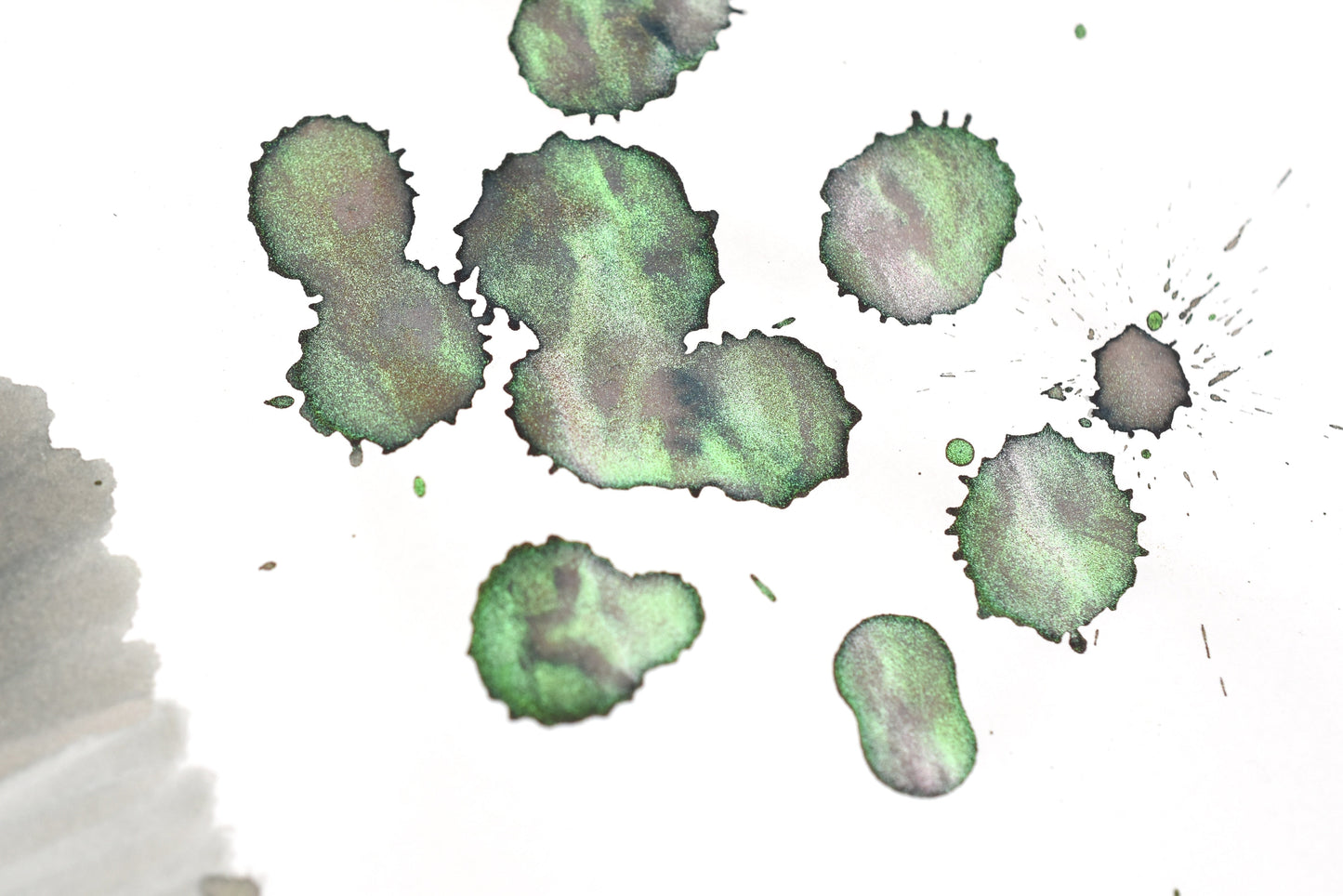 Diamine Black Edition - Chameleon - Wishing Tree