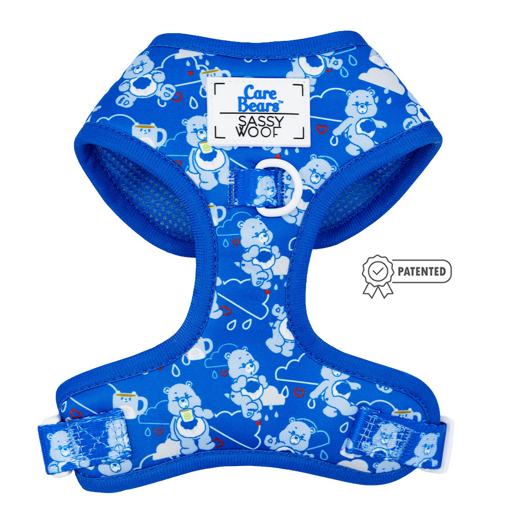 Dog Two Piece Bundle - Care Bears™ Grumpy Bear