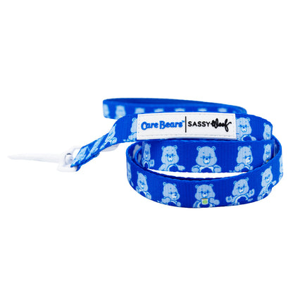 Dog Two Piece Bundle - Care Bears™ Grumpy Bear