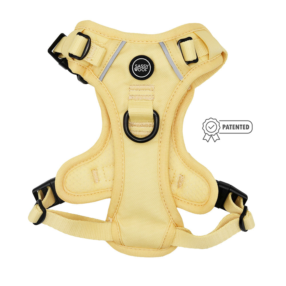 Dog Four Piece Bundle - Daffodil