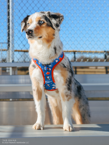 Dog Two Piece Bundle - MLB™ x Peanuts™ Toronto Blue Jays™